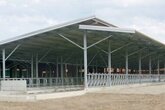 Оборудование для Кормления Телят и Автоматические Кормушки и Поилки