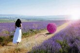 Как Укрепить Отношения в Семье и Практические Советы